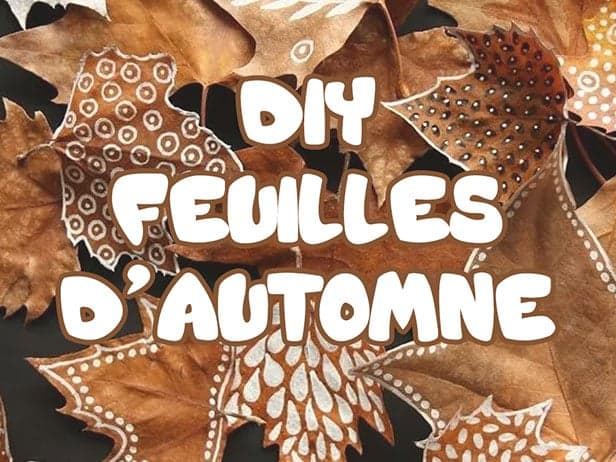 Créativité d'Automne : L'Art des Feuilles Mortes dans Nos Maisons