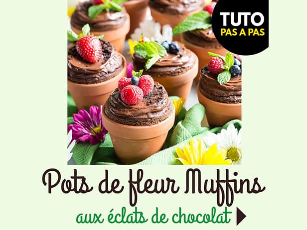 RECETTE : Mon goûter de Printemps - Les pots de fleurs Muffins aux éclats de chocolat