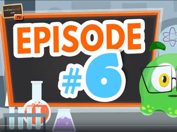 Les petites expériences scientifiques #6 : Sais-tu qu'une force réside à la surface de l'eau ?