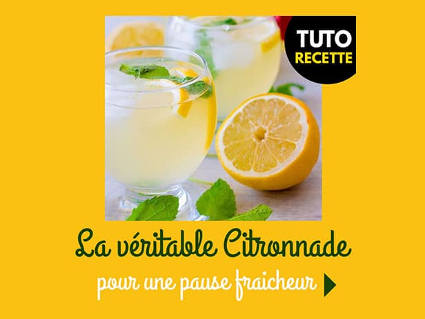 RECETTE : La véritable citronnade pour une pause fraicheur !
