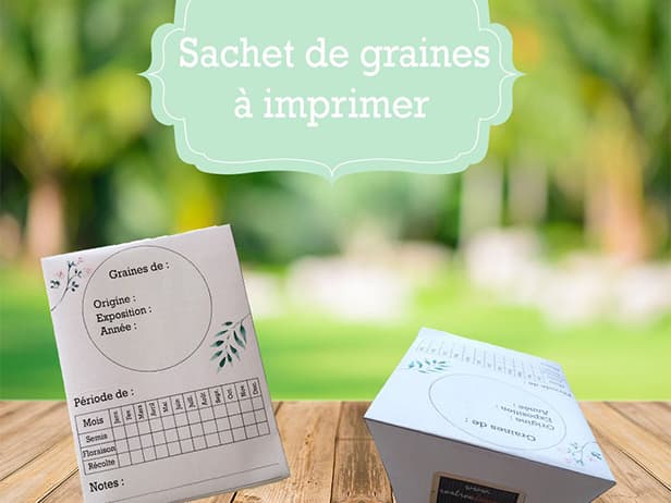 Un sachet de graines à imprimer et plier