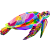 AH-10008tortue