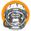 AO-10003orangeastromonkey