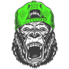 AO-10004greencapmonkey