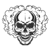 AQ-10002smokeskull