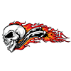 AQ-10004flamethrowerskull
