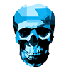 AQ-10005polygonskull