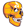 AQ-10006burneyeskull