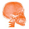 AQ-10010radioskull