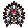AQ-10012amerindienskull