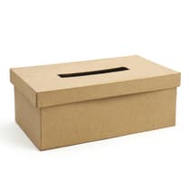 dtm650165-boite-a-mouchoirs-carton-a-decorer-graine-creative-1