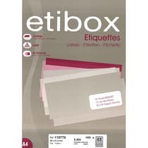 boite-de-6500-étiquettes-ETIBOX-format-38,1x21,2cm-903792