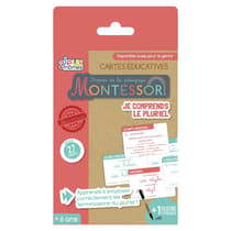 cmpea10301jecomprendslepluriel-jeu-montessori-je-comprends-le-pluriel-1