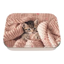 obe48851-boite-a-bons-points-metal-oberthur-chaton