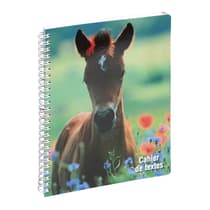 exa999168e-cahier-de-textes-a-spirale-exacompta-poulain-1