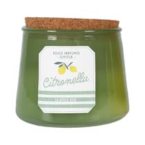 cmpbo0057verte-bougie-citronella-en-pot-vert