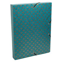 exa59450egreenplumeau-boite-de-classement-a-elastique-exacompta-plumeau-vert-a4-dos-4cm-2