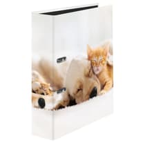 exa22002016f-classeur-a-levier-a4-exacompta-pets-dos-8cm
