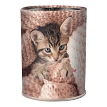 obe66451-pot-a-crayon-oberthur-chaton