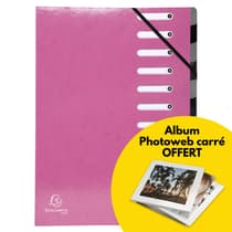 trieur-harmonika-exacompta-iderama-12-compartiments-rose-album-photoweb-offert