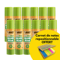Lot-de-12-batons-de-colle-BIC-ecolution-8g-1-Carnet-de-notes-repositionnables-offert