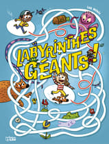lit80741-labyrinthes-geants-mes-duper-jeux-lito-1