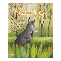lit43432-livre-enfant-peau-dane-les-minicontes-classiques-lito-2