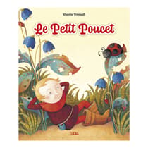 lit40571-livre-enfant-le-petit-poucet-minicontes-classiques-lito