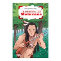 lit41522-livre-jeunesse-le-dernier-des-mohicans-la-bibliotheque-lito-1