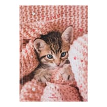 obe2551481-cahier-de-textes-oberthur-chaton