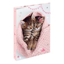 obe2559451-classeur-scolaire-a4-oberthur-chatons-cute-4-anneaux-1