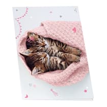 obe2541451-sous-main-double-ouvrant-oberthur-chatons-cute-1