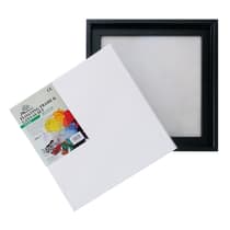 pae08202103-set-de-peinture-cadre-et-toile-phoenix-30x30-1