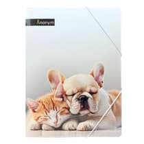 catanofobchechienchat-chemise-a-rabats-anonym-chien-et-chat