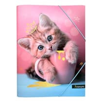 cat3760399301726-chemise-a-rabats-anonym-petit-chat-1