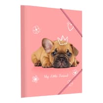 kid25kid01406chien-chemise-3-rabats-little-friends-chien-rose