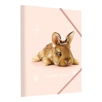 kid25kid01406lapin-chemise-3-rabats-little-friends-lapin