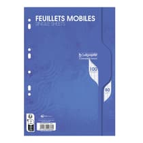 fcp01-0003-7000-feuillets-mobiles-film-21x29,7-100p-seyes-80g-2