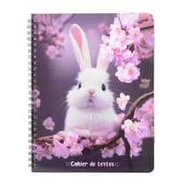 cat3760399301580-cahier-de-textes-anonym-bunny-1