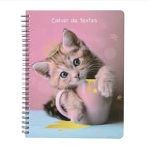 cat3760399301450-cahier-de-textes-anonym-petit-chat-1