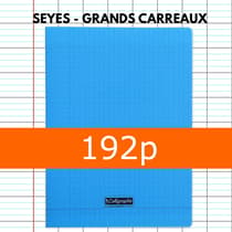 3210330183923-cahier-polypro-24x32-bleu-calligraphe-grands-carreaux-192-pages-90g-1