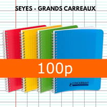 CAH03-0001-cahier-17x22-spirales-100p-grands-carreaux-90g-1