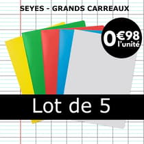 CLA18590BOXC-lot-de-5-cahiers-24x32-polypro-graphmate-96p-grands-carreaux-seyes-pastille