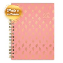 cat3760399301597-agenda-scolaire-anonym-feuilles-d-or-2025-2026-1 (2)