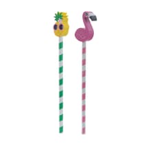 pucsta65-crayon-a-papier-tete-gomme-tropical-7