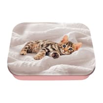 obe2648851-boite-a-tout-en-metal-oberthur-chaton-1