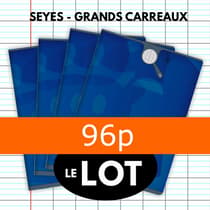 lot-de-4cahier-seyes-96p-calligraphe-bleu1