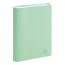 exa1501603e-agenda-semainier-exacompta-sad-15s-easytime-joy-pistache-15x21cm-annee-civile-2027-1