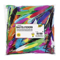 fol55109-plumes-indiennes-100g-coloris-assortis-1