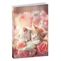 ano259140016135i-agenda-scolaire-chats-calin-anonym-2026-2027-1